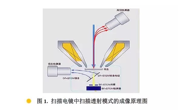 丽水扫描电镜